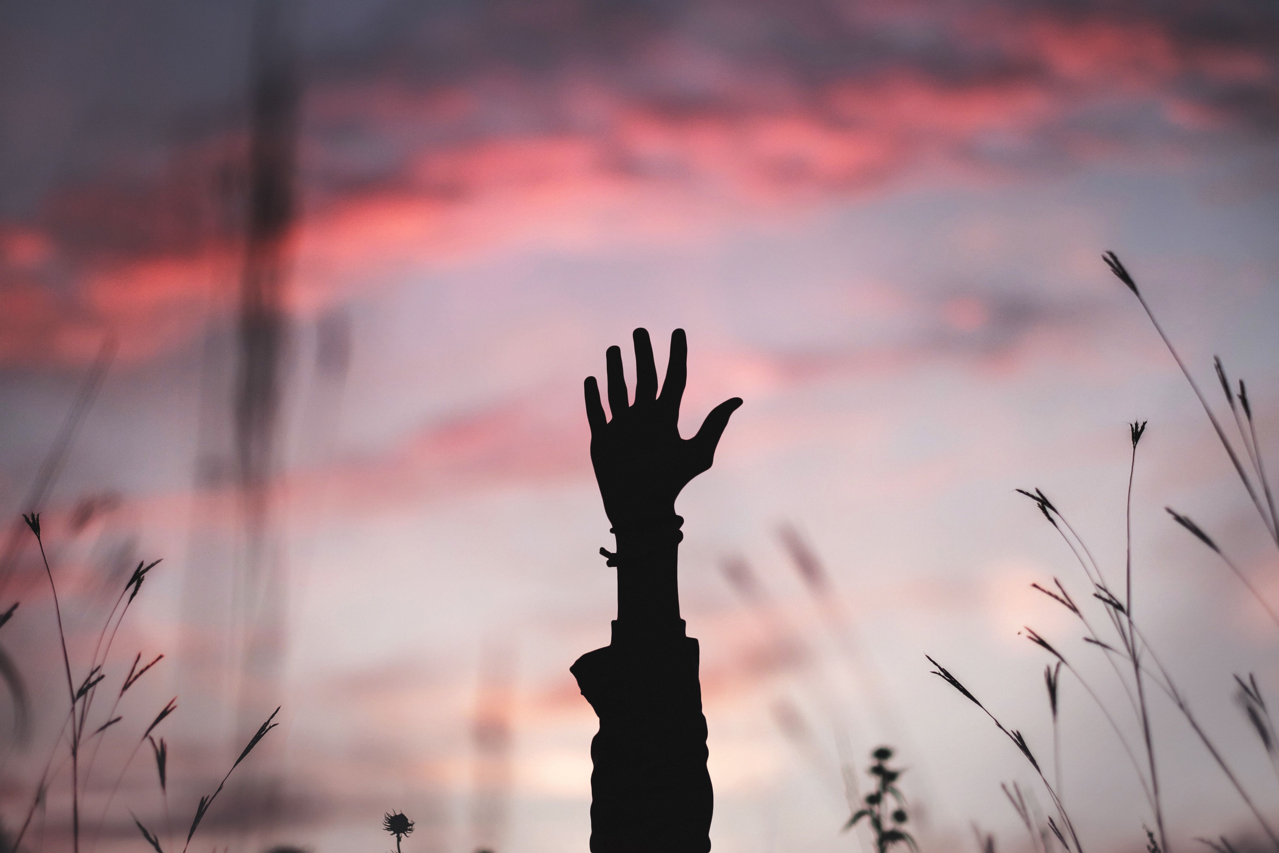 Odoo • Image et Texte